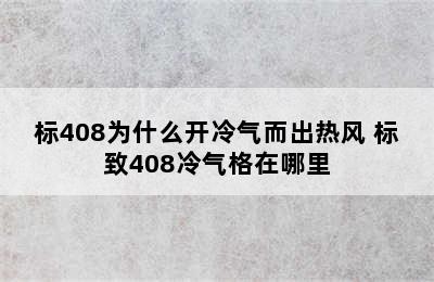 标408为什么开冷气而出热风 标致408冷气格在哪里